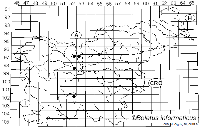 <i>Linospora</i> Fuckel (1870)