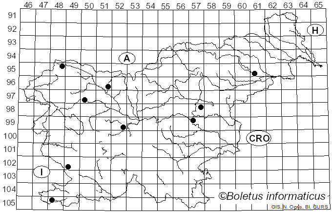 <i>Stigmella aurella</i> Fabricius (1775)