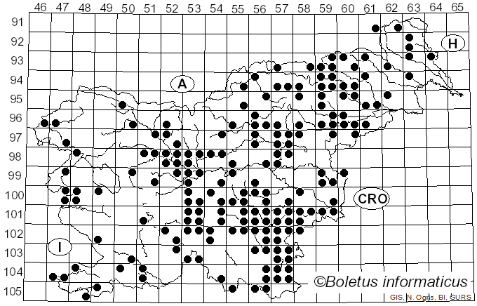 <i>Candolleomyces candolleanus</i> (Fr.) D. Wächt. & A. Melzer (2020)
