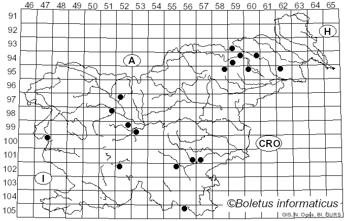 <i>Calonarius dibaphus</i> (Fr.) Niskanen & Liimat. (2022)
