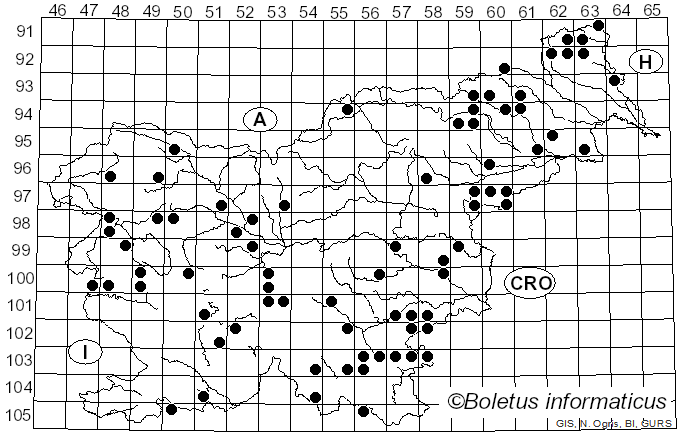 <i>Biscogniauxia nummularia</i> (Bull.) Kuntze (1891)
