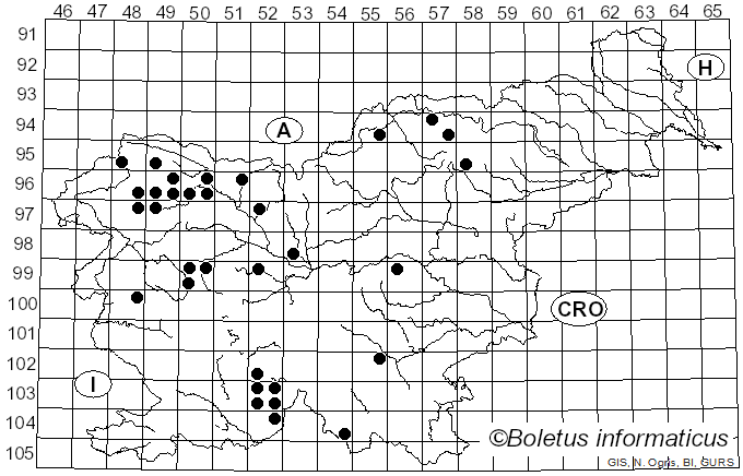 <i>Cladonia fimbriata</i> (L.) Fr. (1831)