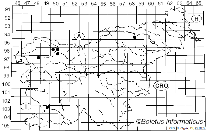 <i>Ionomidotis fulvotingens</i> (Berk. & M.A. Curtis) E.K. Cash (1939)