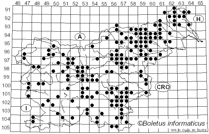 <i>Russula fellea</i> (Fr.) Fr. (1838)