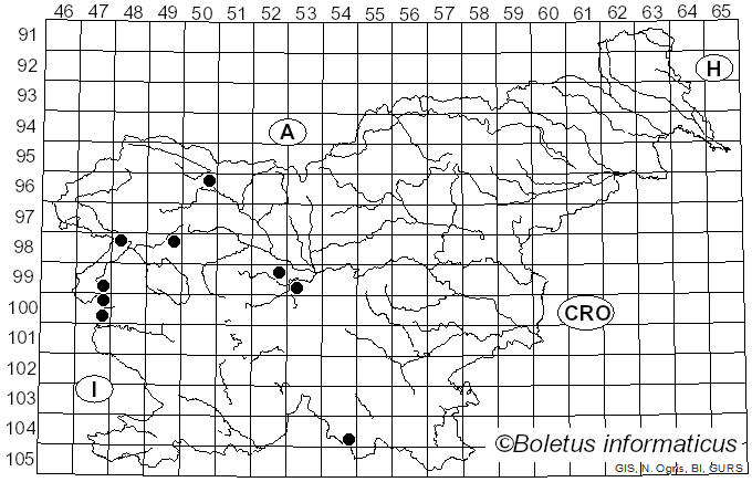 <i>Epichloë typhina</i> (Pers.) Tul. & C. Tul. (1865)