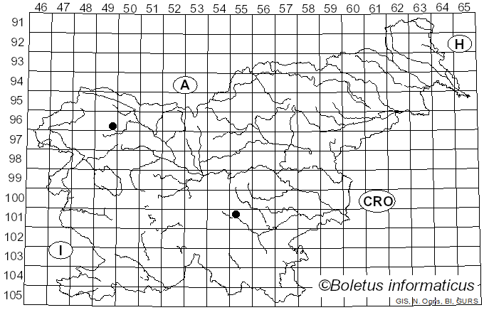 <i>Crepidotus epibryus</i> (Fr.) Quél. (1888)