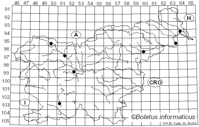<i>Sphaerobolus stellatus</i> Tode (1790)
