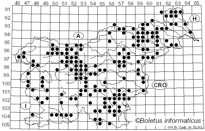 <i>Coprinellus micaceus</i> (Bull.) Vilgalys, Hopple & Jacq. Johnson (2001)