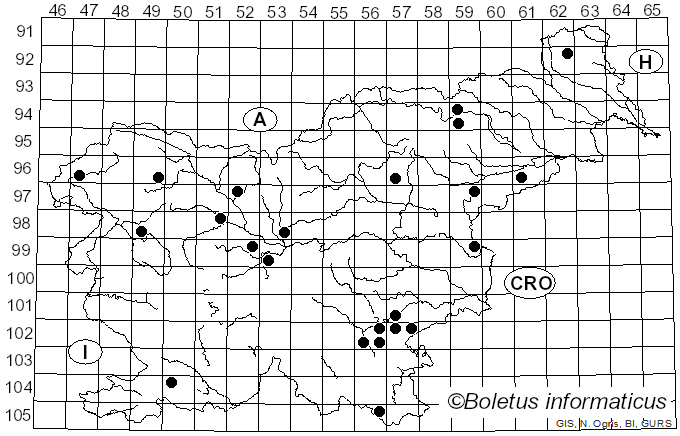 <i>Clavulinopsis corniculata</i> (Godey) Corner (1950)
