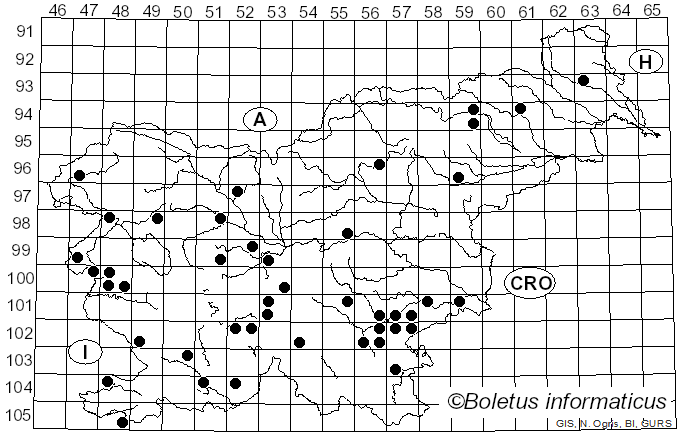<i>Calonarius rufo-olivaceus</i> (Pers.) Niskanen & Liimat. (2022)