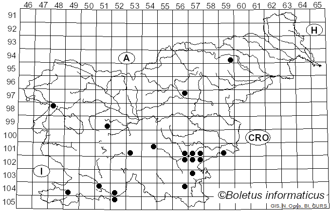 <i>Imperator luteocupreus</i> (Bertéa & Estadès) Assyov et al. (2015)