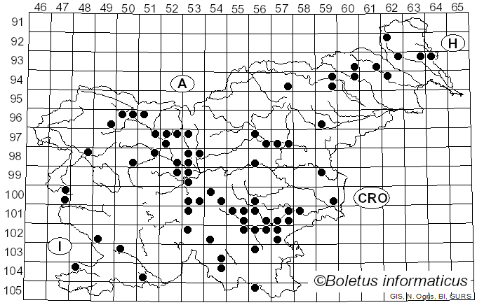 <i>Bulgaria</i> Fr. (1822)