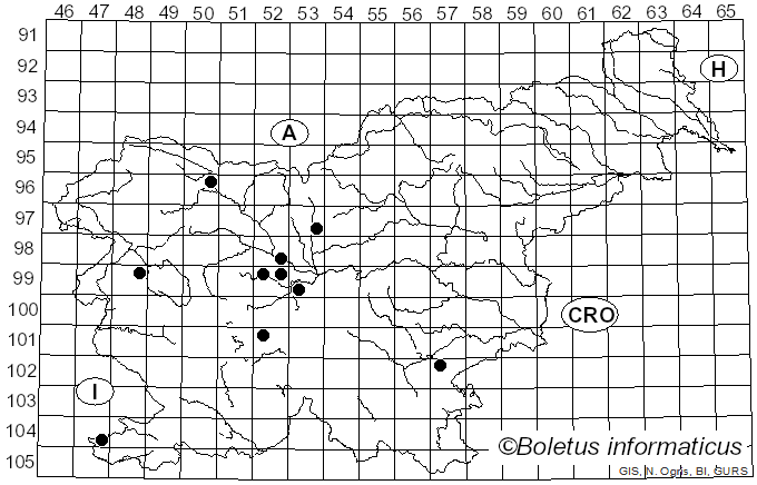<i>Taphrina pruni</i> Tul. (1866)