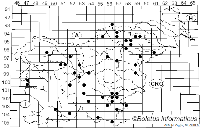 <i>Russula amethystina</i> Quél. (1897)