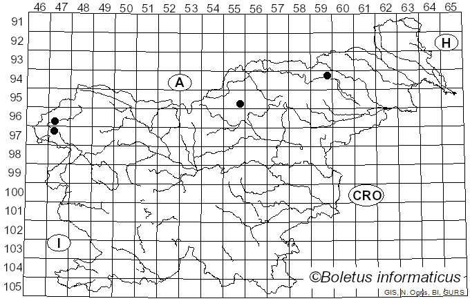 <i>Chalciporus rubinus</i> (W.G. Sm.) Singer (1973)