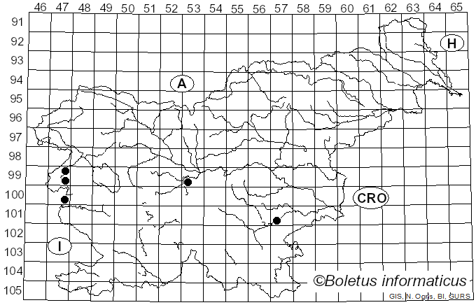 <i>Panonychus</i>