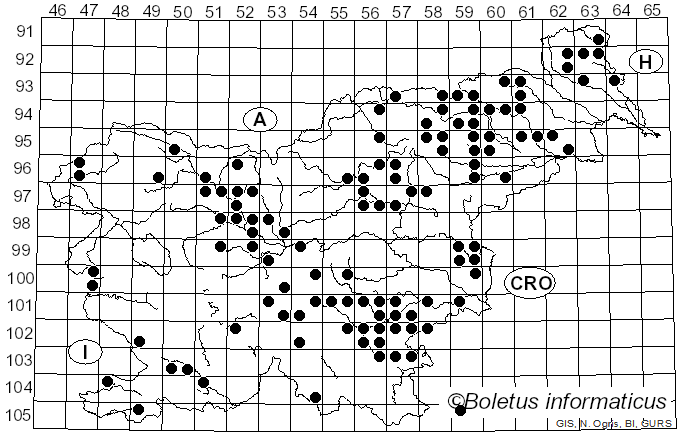 <i>Mycena inclinata</i> (Fr.) Quél. (1872)