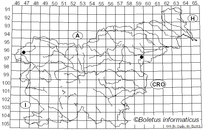 <i>Hebeloma pseudofragilipes</i> Beker, Vesterh. & U. Eberh. (2015)