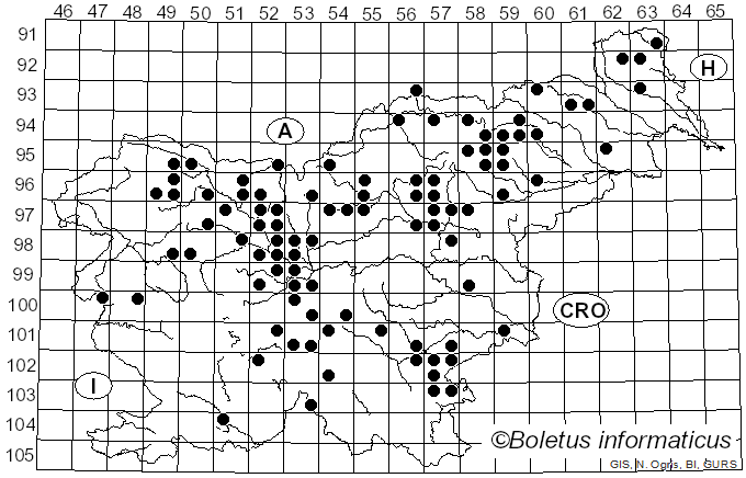<i>Cortinarius collinitus</i> (Pers.) Fr. (1838)