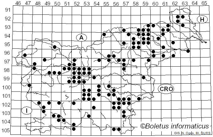 <i>Scutiger</i> Paulet (1793)