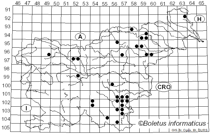 <i>Thelephora penicillata</i> (Pers.) Fr. (1821)
