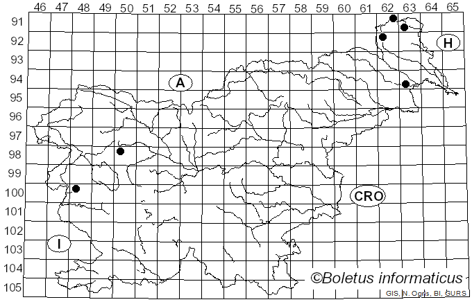 <i>Hypoxylon perforatum</i> (Schwein.) Fr. (1849)