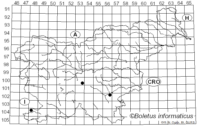 <i>Cortinarius compar</i> (Weinm.) Fr.