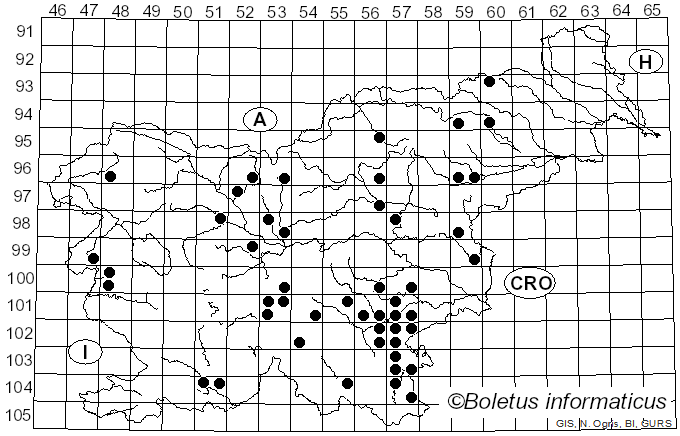 <i>Dendropolyporus</i> (Pouzar) Jülich (1982)