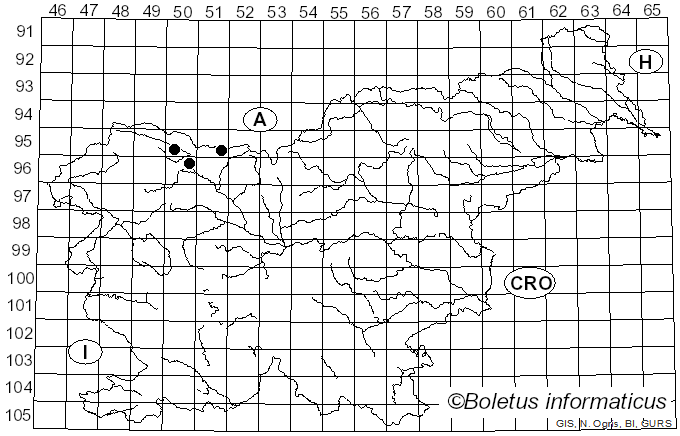 <i>Lasiobotrys lonicerae</i> Kunze (1823)