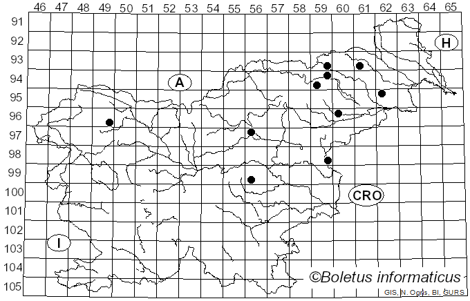 <i>Tulosesus impatiens</i> (Fr.) D. Wächt. & A. Melzer (2020)