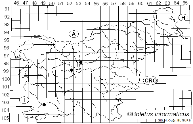 <i>Apiosporopsis carpinea</i> (Fr.) Traverso (1913)