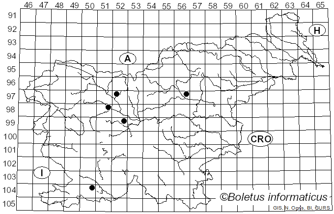 <i>Ciboria caucus</i> (Rebent.) Fuckel (1869)