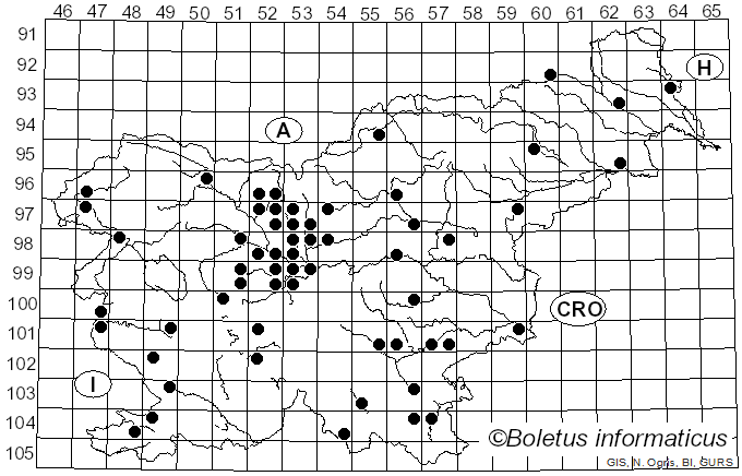 <i>Morchella semilibera</i> DC. (1815)