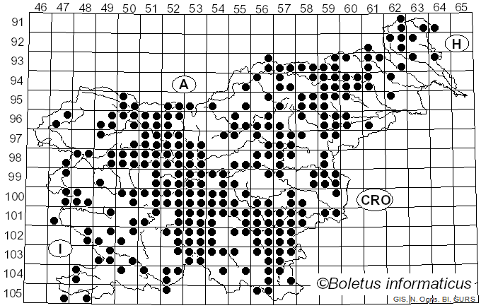 <i>Clitopilus</i> (Fr. ex Rabenh.) P. Kumm. (1871)
