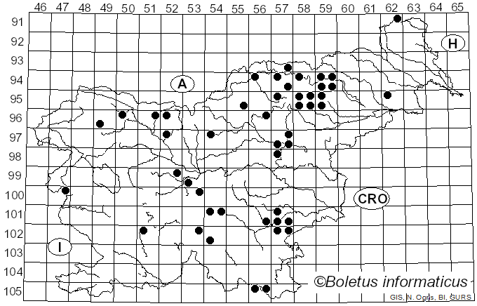 <i>Lactarius trivialis</i> (Fr.) Fr. (1838)