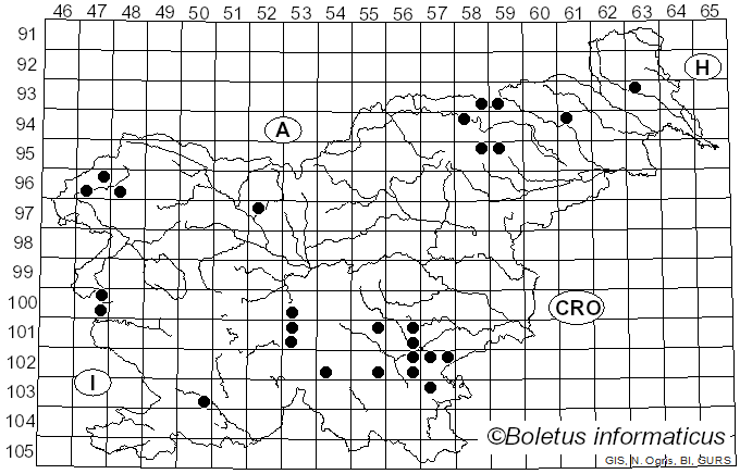 <i>Ramaria flaccida</i> (Fr.) Bourdot (1918)