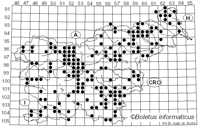 <i>Panellus</i> P. Karst. (1879)