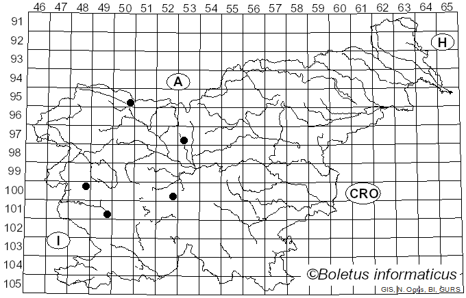 <i>Aposphaeria</i> Sacc. (1880)