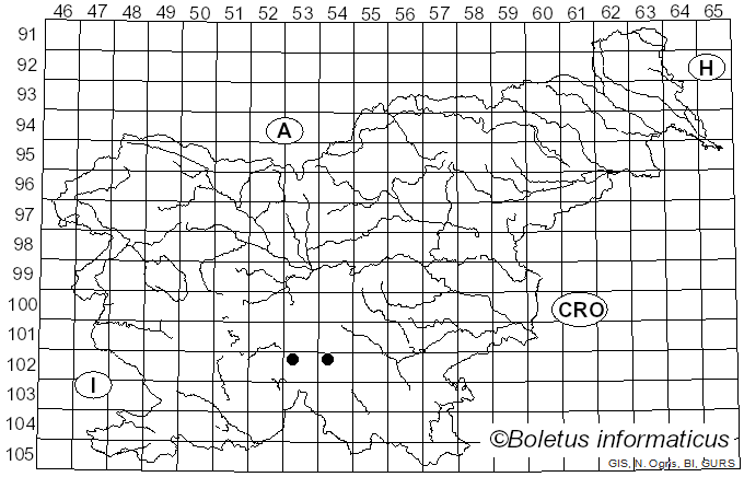 <i>Sphaeropsis parca</i> Berk. & Broome