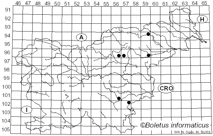 <i>Thaxterogaster leucophanes</i> (P. Karst.) Niskanen & Liimat. (2022)