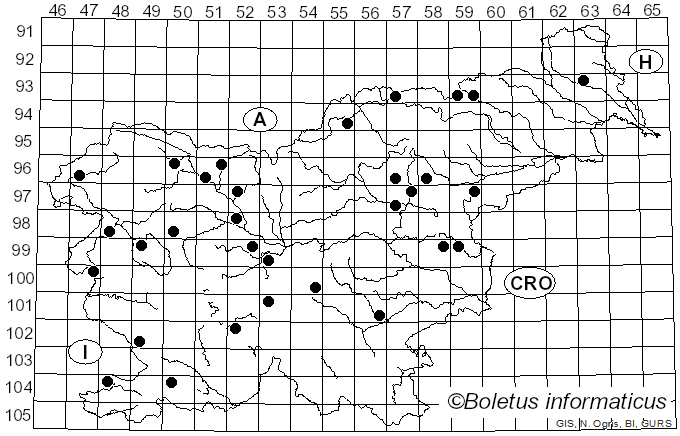 <i>Hygrocybe ovina</i> (Bull.) Kühner (1926)