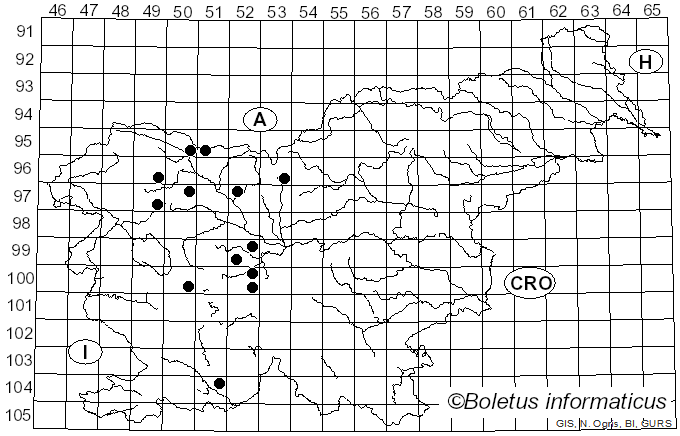 <i>Eristalis similis</i> Fallen (1822)
