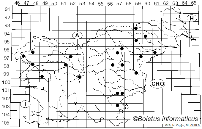 <i>Hygrocybe aurantiosplendens</i> R. Haller Aar. (1954)