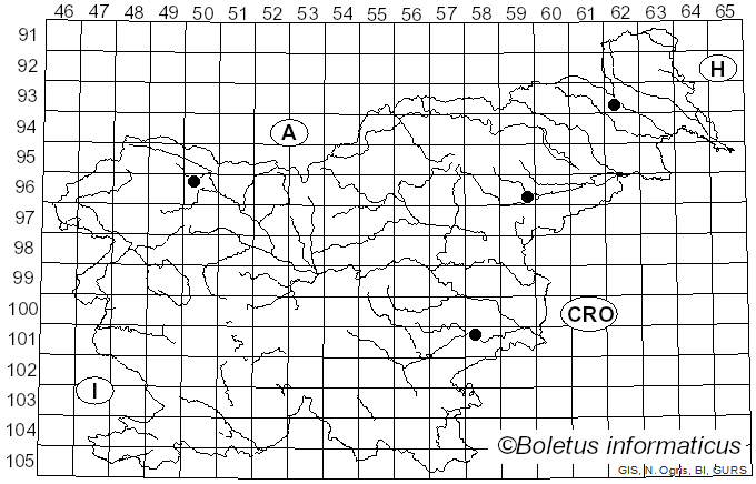 <i>Cystoagaricus</i> Singer (1947)