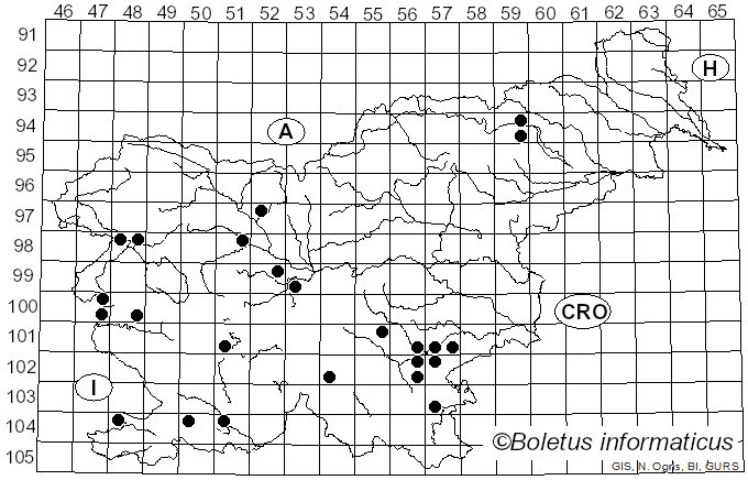 <i>Calonarius arcuatorum</i> (Rob. Henry) Niskanen & Liimat. (2022)