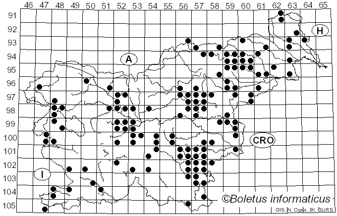 <i>Meripilus giganteus</i> (Pers.) P. Karst. (1882)