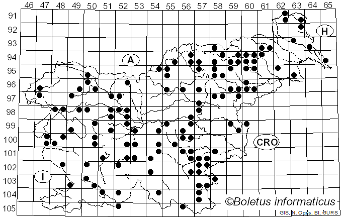 <i>Xylaria longipes</i> Nitschke (1867)