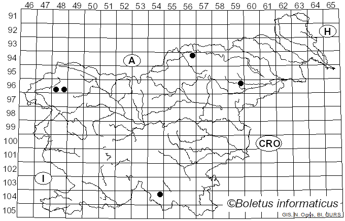 <i>Diderma ochraceum</i> Hoffm. (1795)