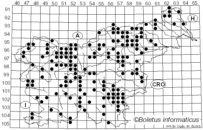 <i>Chalciporus</i> Bataille (1908)