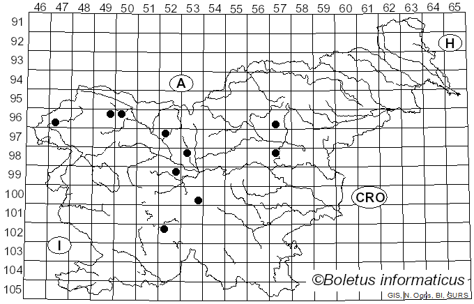 <i>Coprinopsis nivea</i> (Pers.) Redhead, Vilgalys & Moncalvo (2001)